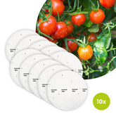 Kirschtomate Bio-Gemüse - 10 Saatscheiben